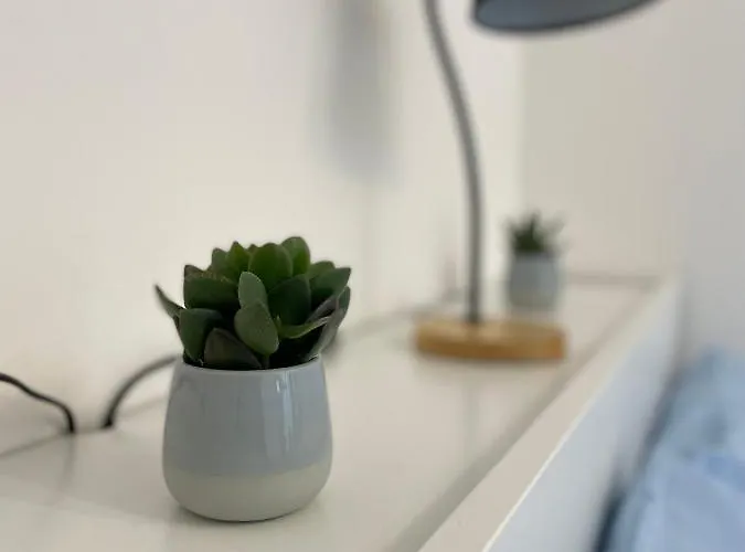 Lägenhet Daisy House *