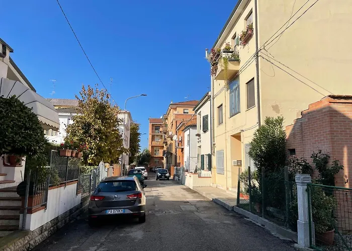 Daisy House Daire Ferrara